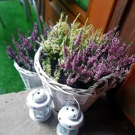 Pod Sniezynka Δωμάτια σε οικογενειακή κατοικία *