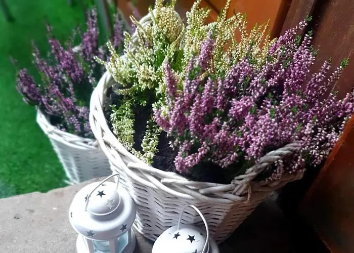 Pod Sniezynka Alloggio in famiglia *