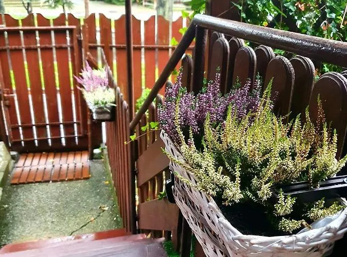 Pod Sniezynka Alloggio in famiglia *